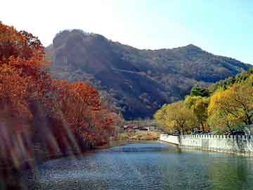 天天彩好彩天天免费，黑帽seo排名